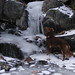 Sara Borders Photo 16