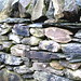 Susan Dykes Photo 25