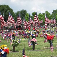 Tracy Tabor Photo 6