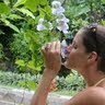 Elizabeth Hogan Photo 27