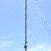 Dale Mast Photo 10