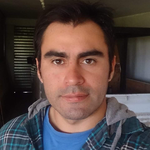 Juan Lizama Photo 13