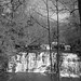 Robert Rutledge Photo 11