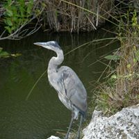 Beth Pollard Photo 24