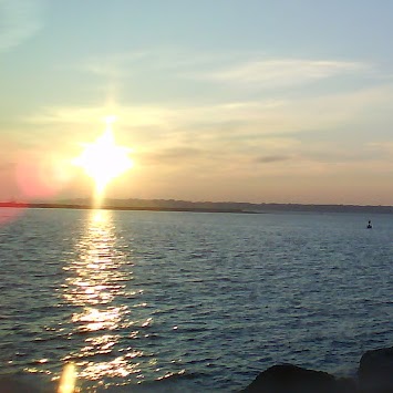 Sandra Wooten Photo 7