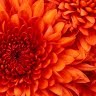 Karen Stahl Photo 10