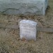 Thomas Adair Photo 37