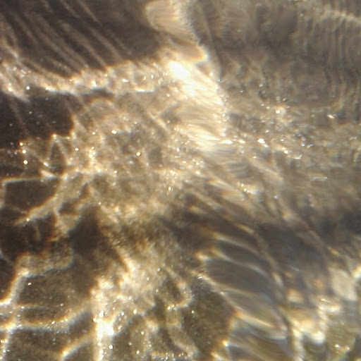 Charles Devine Photo 23