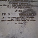 Frances Hopson Photo 10