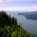 Sunshine Gardner Photo 9