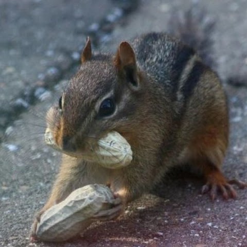Lynn York Photo 11