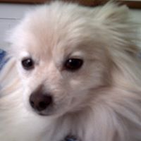 Max Conner Photo 16