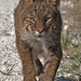Terry Merritt Photo 11
