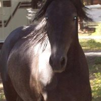 Marcy Cartwright Photo 1