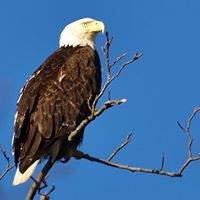 John Ulrich Photo 42