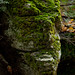 Jay Daugherty Photo 14