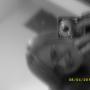 Stacie Holley Photo 11