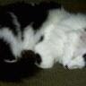 Debbie Loyd Photo 5