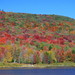 David Faunce Photo 19