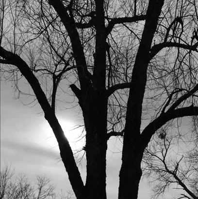 Joyce Cook Photo 6
