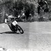 Nick Nicholson Photo 34