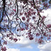 Tadeu Andrade Photo 7