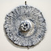 Rose Shields Photo 15