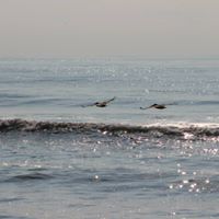 Angela Marcum Photo 19
