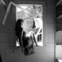 Erika Phillips Photo 44
