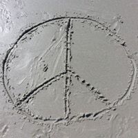 Amy Friedman Photo 43