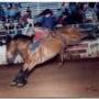 Roy Parker Photo 21