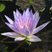 Sandra Waters Photo 30