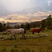 Rocky Doty Photo 9