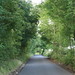 Brandy Lane Photo 27