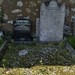 Patrick Mcalister Photo 19