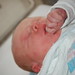Joseph Elliot Photo 17