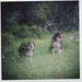 Diana Pence Photo 20