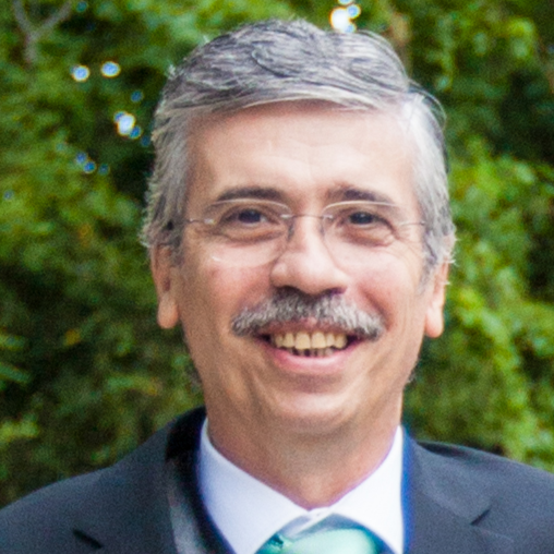Luis Ferreira Photo 10