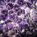 Crystal Stein Photo 29