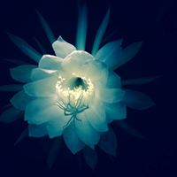 Julie Hundley Photo 9