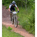 Michael Daly Photo 15