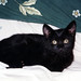 Betty Bright Photo 41