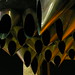 John Dahm Photo 13