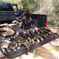Shawn Hudson Photo 10