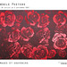 Rose Peeters Photo 5