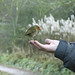 Barry Robins Photo 14