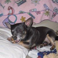 Terry Strom Photo 17