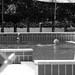Liz Pool Photo 1