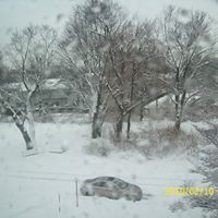 Arlene Hopkins Photo 10