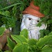 Fredrick Good Photo 4